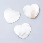 Freshwater Shell Big Pendants