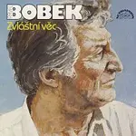 Pavel Bobek – Zvláštní věc