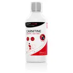 Sport Wave Karnitin - Carnitine 220 000 SW014