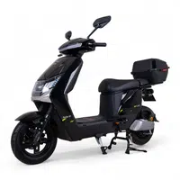 Elektrický skútr W-TEC Raike 10" černo-stříbrná