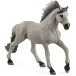 Schleich Zvieratko žrebec Sorraia Mustang