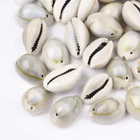Cowrie Shell Links connectors
