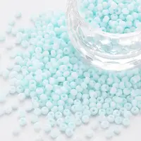 8/0 Opaque Glass Seed Beads