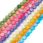 Natural Freshwater Shell Dyed Beads Strands