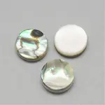 Paua Shell Cabochons