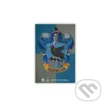 Harry Potter Magnet - Bystrohlav