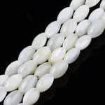 Freshwater Shell Beads Strands