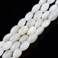 Freshwater Shell Beads Strands