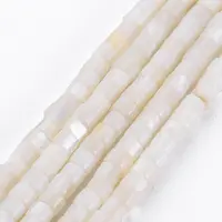 Natural Freshwater Shell Beads Strands