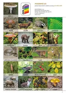 Sada pexesa: Já a můj svět 2 - hra z kategorie Karty, pexeso