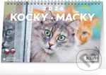 NOTIQUE Stolní kalendář / stolový kalendár Kočky - Mačky 2026