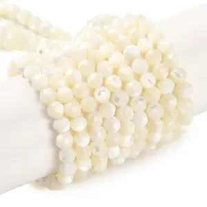 Natural Shell Beads Strands