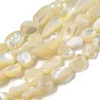 Natural White Shell Beads Strands