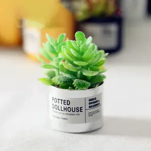 Resin Succulents Pot Model