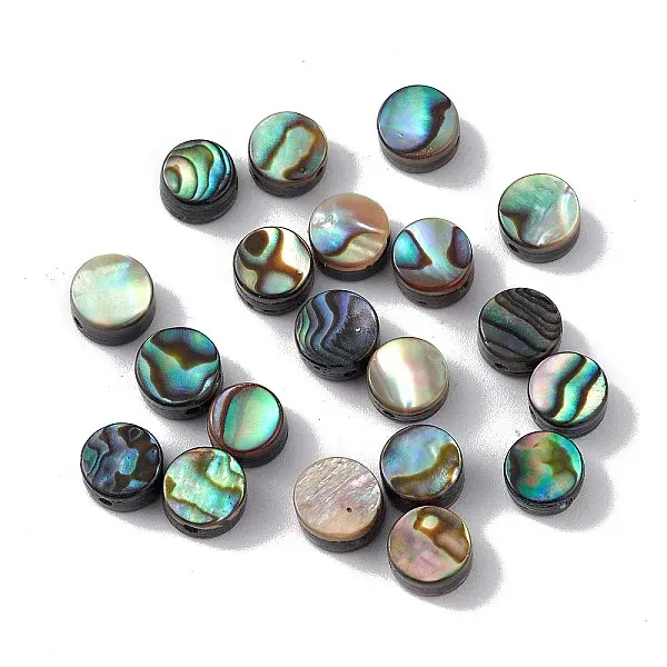 Natural Abalone Shell/Paua Shell Beads