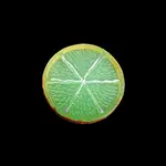 Luminous Resin Fruit Slice Display Decoration