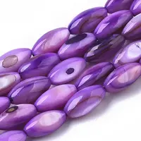 Natural Freshwater Shell Beads