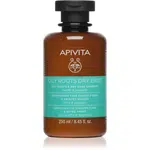 Apivita Oily Roots & Dry Ends Shampoo šampon pro mastnou vlasovou pokožku a suché konečky 250 ml