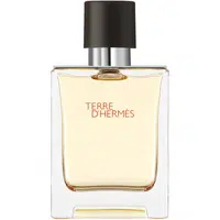 HERMÈS Terre d’Hermès toaletní voda pro muže 50 ml