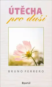 Útěcha pro duši - Bruno Ferrero