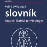 Velký výkladový slovník soudnělékařské terminologie - Miroslav Hirt, Petr Hejna, František Vorel - e-kniha