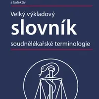 Velký výkladový slovník soudnělékařské terminologie - Miroslav Hirt, Petr Hejna, František Vorel - e-kniha