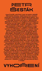 Vyhoření - Petr Šesták