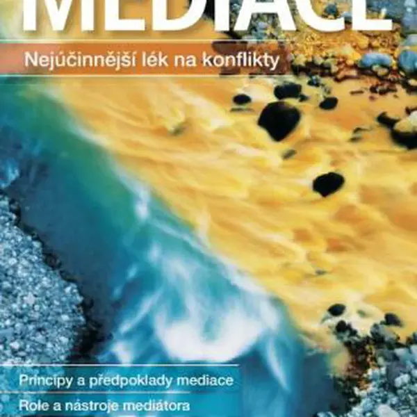 Mediace - Jiří Plamínek - e-kniha