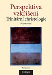Perspektiva vzkříšení - Petr Gallus