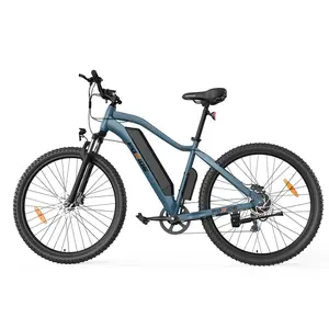 Foride Xtremer 3 Electric Bike 250W 48V 12Ah