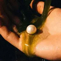 Island Mint – Man of the People