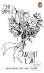 Ancient Light - John Banville,Ancient Light - John Banville