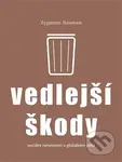 Vedlejší škody (Sociální nerovnosti v globálním věku) - kniha z kategorie Politologie a politika