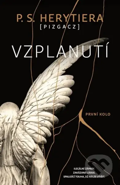 Vzplanutí: První kolo - P. S. Herytiera - kniha z kategorie Romantika