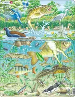 Jazierko (FH19) - puzzle z kategorie Naučné puzzle