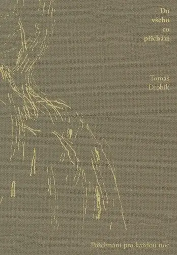 Do všeho co přichází - Jindra Viková, Tomáš Drobík