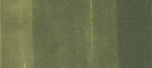 Copic Ink – YG99 Marine Green