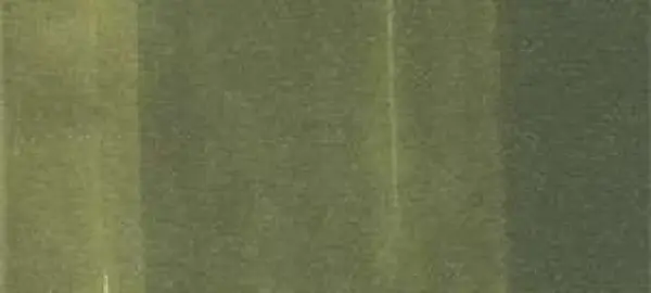 Copic Ink – YG99 Marine Green