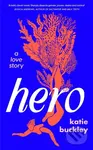 Hero (A fierce and captivating literary love story for 2025)