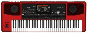 Korg Pa700 RD