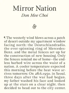 Mirror Nation - Don Mee Choi