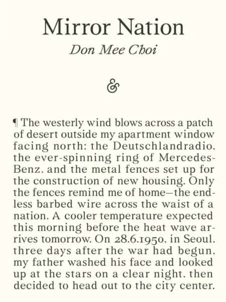 Mirror Nation - Don Mee Choi