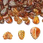 Acrylic Bead
