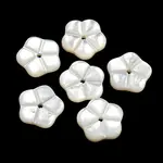 Natural White Shell Beads