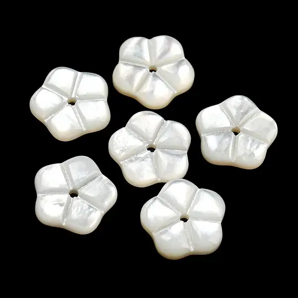Natural White Shell Beads