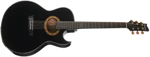 Ibanez EP5 Black Pearl