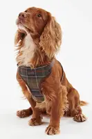 Postroj pro psa Barbour Travel And Exercise hnědá barva