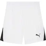 Puma TEAMLIGA 26 SHORTS Pánské sportovní trenky, bílá, velikost