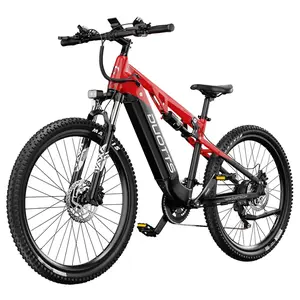 DUOTTS E29 Electric Bike 250W 48V 13.5Ah Black Red