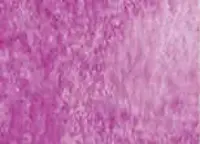 Akvarelová barva DS 5ml – 030 Cobalt Violet